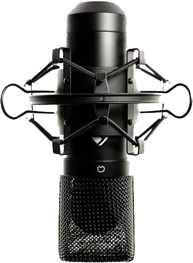 Audiobook, Voice-Over, Dubbing, Advertisement Film, Presentation Film